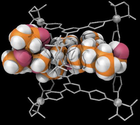 　調べたい分子（球状のものが連なった部分）を内部に取り込んだ「かご型分子」（鎖のような部分）のイメージ（東京大提供）