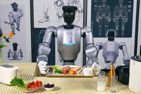 　中国広東省の企業が開発したヒト型ロボット「ドボット・アトム」（同社の「微信（ウィーチャット）」公式アカウントから、共同）