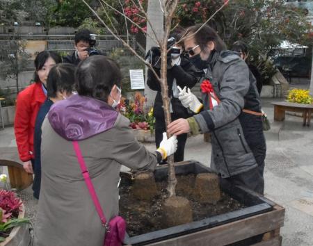 　鳥取県南部町の「とっとり花回廊」で、桜の苗木を植樹する同県視覚障害者福祉協会の市川正明会長（右）ら＝１７日午前