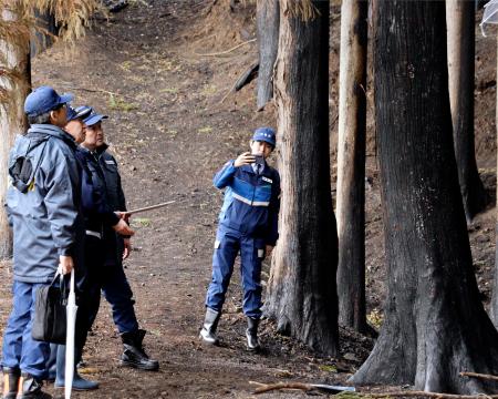 　岩手県大船渡市で焼けた山林を視察する坂井防災相（右から２人目）＝１６日午後