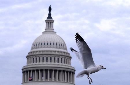 　ワシントンにある米連邦議会議事堂＝２０２４年１１月（ロイター＝共同）